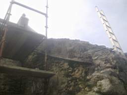 knockduff 7490.jpg