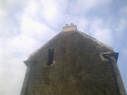 knockduff 7515.jpg