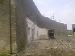 knockduff 7520.jpg