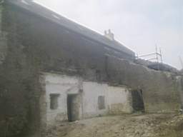 knockduff 7530.jpg