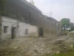 knockduff 7535.jpg