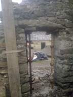 knockduff 7555.jpg