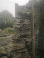 knockduff 7585.jpg