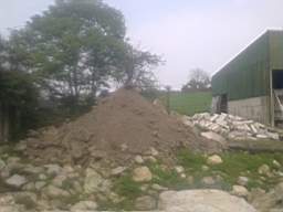knockduff 7595.jpg