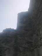 knockduff 7720.jpg