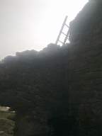 knockduff 7725.jpg