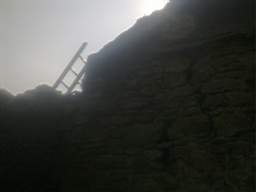knockduff 7730.jpg