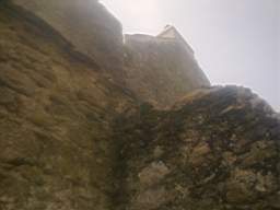 knockduff 7735.jpg