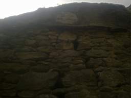 knockduff 7740.jpg