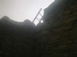 knockduff 7745.jpg