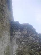 knockduff 7750.jpg