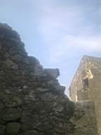 knockduff 7755.jpg