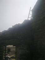 knockduff 7760.jpg