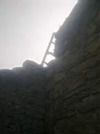 knockduff 7765.jpg
