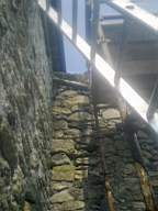 knockduff 7790.jpg