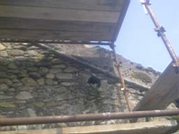 knockduff 7795.jpg