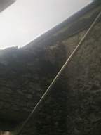 knockduff 7800.jpg