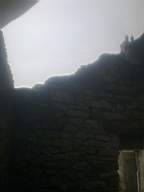 knockduff 7805.jpg