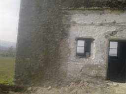 knockduff 7815.jpg