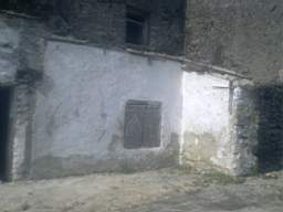 knockduff 7825.jpg