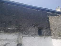 knockduff 7850.jpg