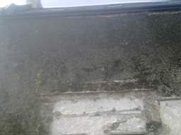 knockduff 7855.jpg