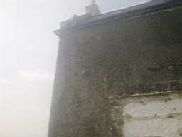 knockduff 7860.jpg