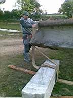 knockduff 8125.jpg