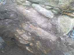 knockduff 8135.jpg
