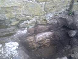 knockduff 8145.jpg