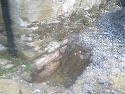 knockduff 8160.jpg