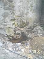 knockduff 8170.jpg