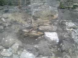 knockduff 8175.jpg
