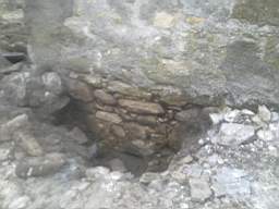 knockduff 8180.jpg