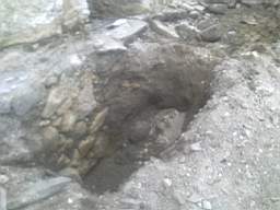 knockduff 8195.jpg