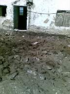 knockduff 8210.jpg