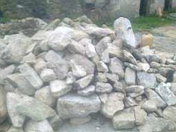 knockduff 8725.jpg
