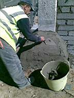 knockduff 8860.jpg