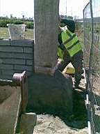 knockduff 8865.jpg