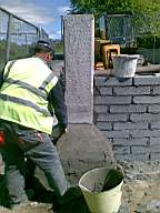 knockduff 8870.jpg