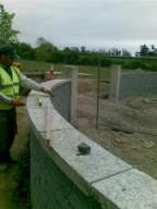 knockduff 8910.jpg