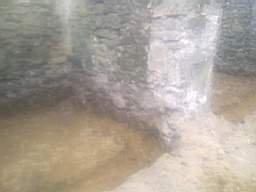knockduff 9115.jpg