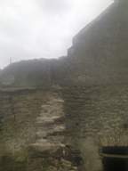 knockduff 9130.jpg