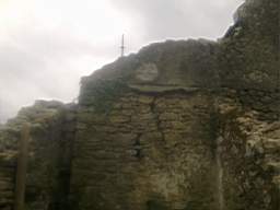 knockduff 9140.jpg