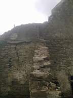 knockduff 9145.jpg