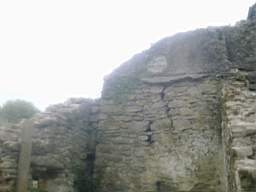 knockduff 9155.jpg