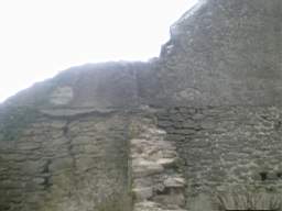 knockduff 9160.jpg