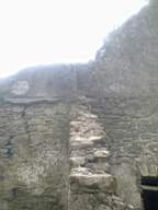knockduff 9165.jpg