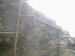 knockduff 9235.jpg
