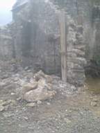 knockduff 9295.jpg